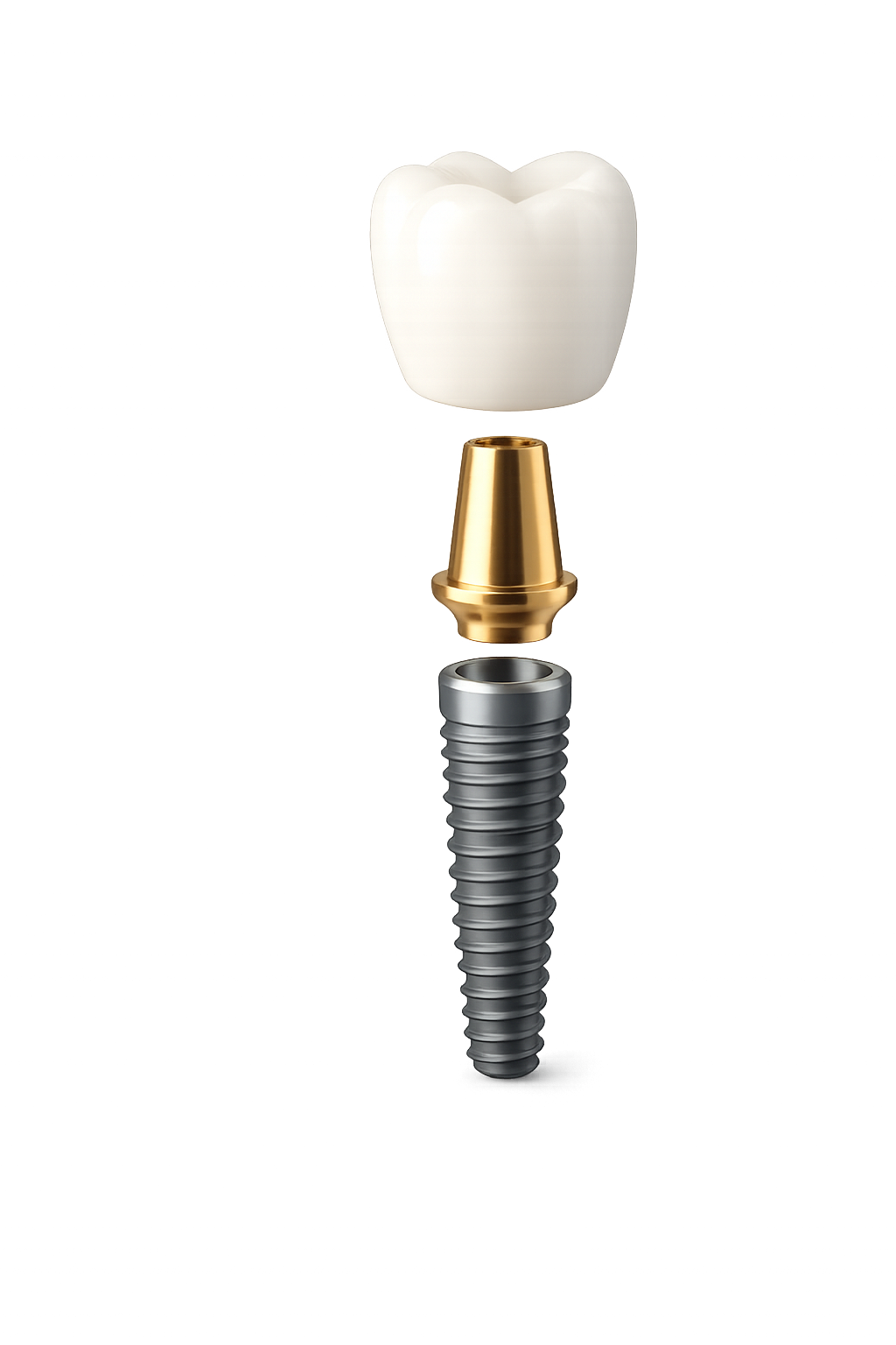 Crown, abutment and titanium implant